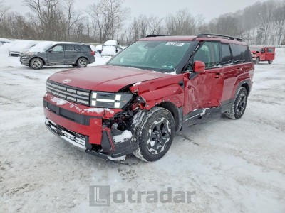 Hyundai Santa fe 2025 5NMP2DGL9SH111701