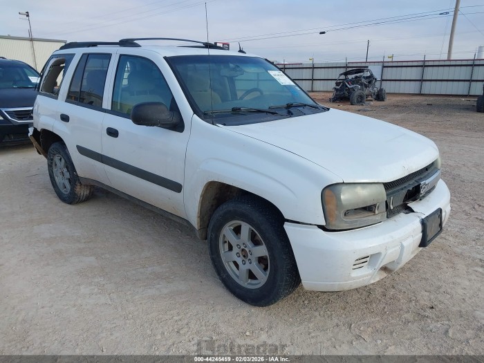 Chevrolet Trailblazer 2005 VIN 1GNDS13S752142153