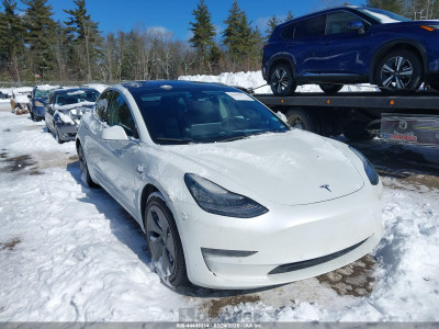 Tesla Model 3 2020 5YJ3E1EA3LF613497