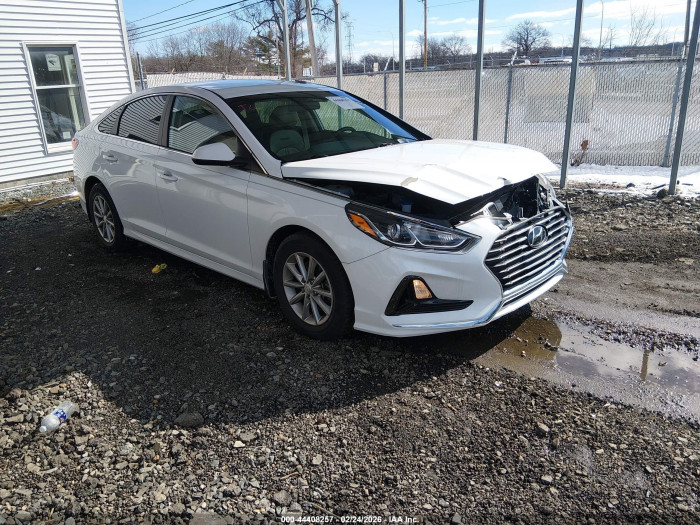 Hyundai Sonata 2019 VIN 5NPE24AF8KH766820