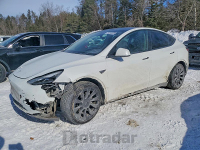 Tesla Model y 2024 7SAYGDEE1RF123320