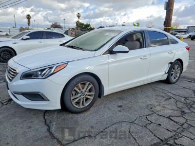 Hyundai Sonata 2016 5NPE24AF7GH322643