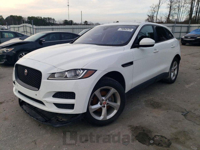 Jaguar F-pace 2019 VIN SADCJ2FX4KA360450