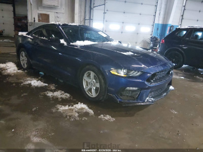 Ford Mustang 2020 1FA6P8TH6L5172603