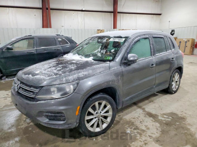Volkswagen Tiguan 2014 WVGBV3AX5EW500940