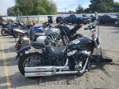 Harley-davidson Fxst 2024 1HD1BVJ27RB056786