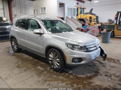 Volkswagen Tiguan 2013 WVGBV7AX0DW552885