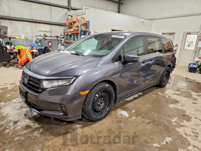 Honda Odyssey 2023 VIN 5FNRL6H64PB503326