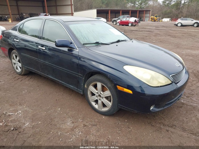 Lexus ES 2006 VIN JTHBA30G065174262