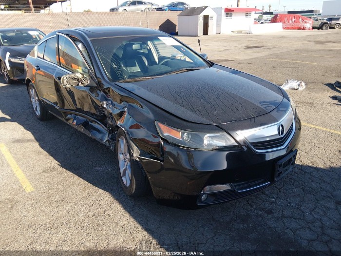 Acura Tl 2013 VIN 19UUA8F52DA005461