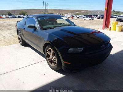 Ford Mustang 2012 1ZVBP8AM2C5234147