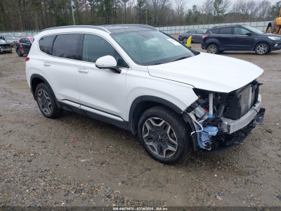 Hyundai Santa fe 2023 5NMS5DA10PH016511