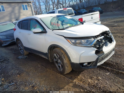 Honda Cr-v 2019 5J6RW2H89KL008332