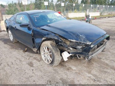 Ford Mustang 2014 1ZVBP8AM3E5278824