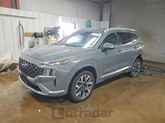 Hyundai Santa fe 2023 VIN 5NMS5DAL9PH499644