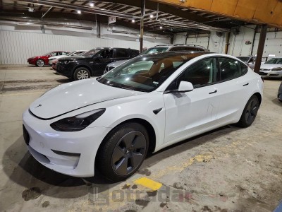 Tesla Model 3 2023 5YJ3E1EA4PF508599