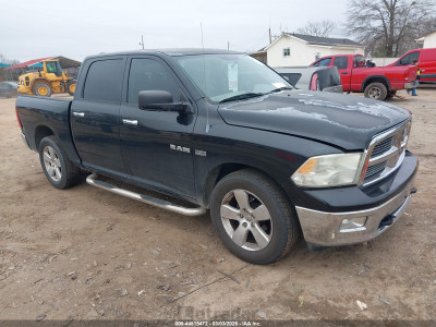 Dodge Ram 2010 1D7RB1CT5AS250004