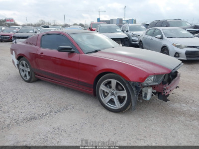 Ford Mustang 2014 1ZVBP8AM2E5316270