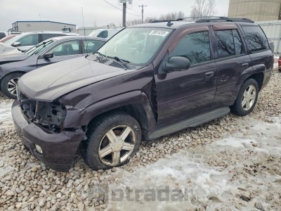 Chevrolet Trailblazer 2008 1GNDT13S582169398