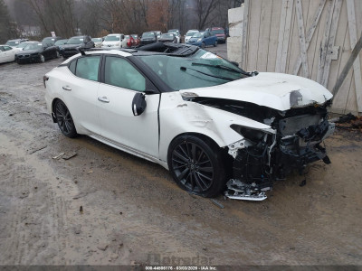 Nissan Maxima 2019 1N4AA6AV5KC383973
