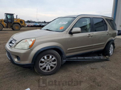 Honda Cr-v 2006 JHLRD78946C004845