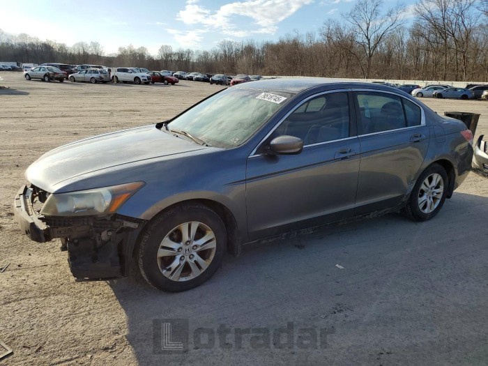 Honda Accord 2010 VIN 1HGCP2F41AA124080