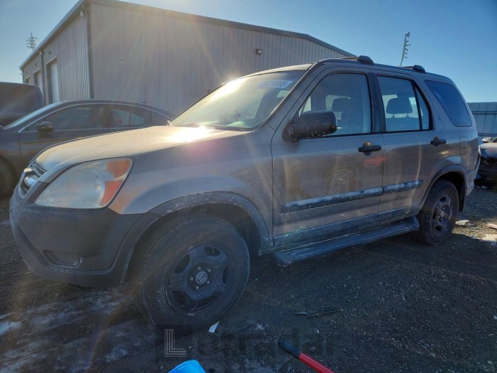 Honda Cr-v 2004 VIN JHLRD68494C023127