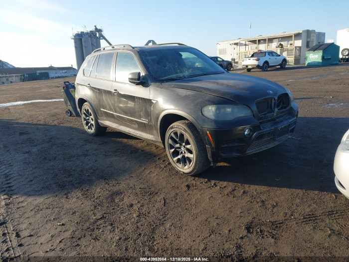 BMW X5 2011 VIN 5UXZV4C56BL407358