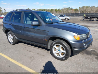 BMW X5 2003 5UXFA53593LV92592