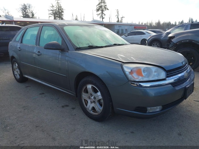 Chevrolet Malibu 2004 VIN 1G1ZU64824F147754