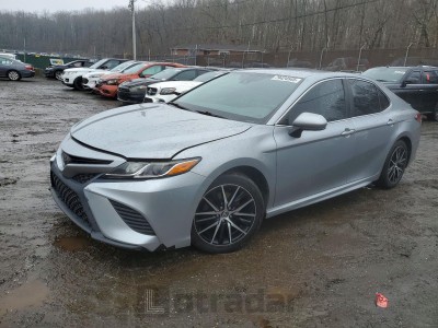 Toyota Camry 2019 4T1B11HK0KU215838