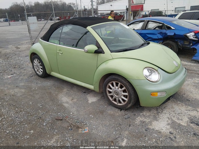 Volkswagen Beetle 2004 VIN 3VWCM31Y34M324924