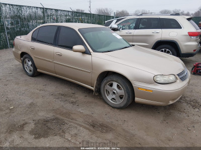 Chevrolet Malibu 2002 1G1NE52J22M565915