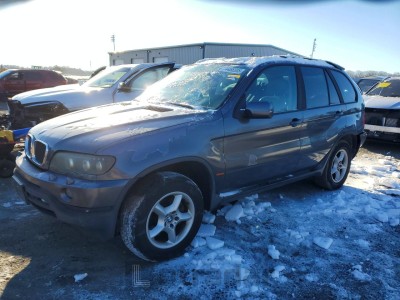 BMW X5 2002 VIN 5UXFA53582LP38513