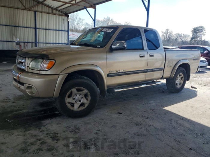 Toyota Tundra 2003 VIN 5TBRT34123S343681