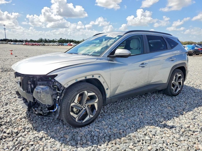 Hyundai Tucson 2023 VIN 5NMJF3AEXPH188471