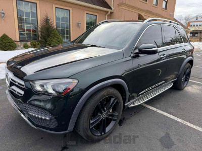 Mercedes-benz Gle 2020 4JGFB4KB8LA062573