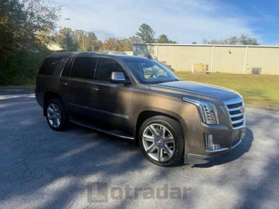 Cadillac Escalade 2016 1GYS4BKJXGR177458