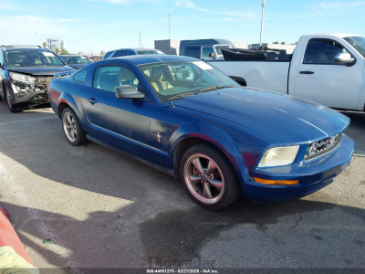 Ford Mustang 2006 1ZVHT80N565158945
