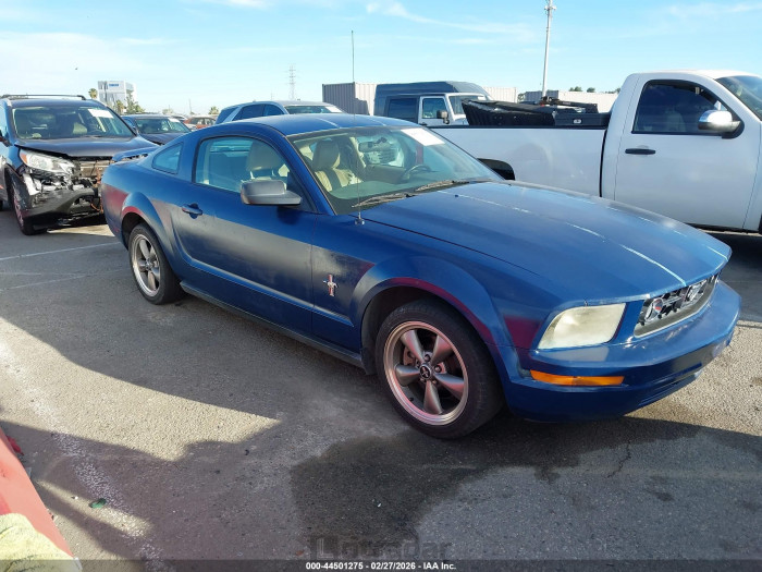 Ford Mustang 2006 VIN 1ZVHT80N565158945