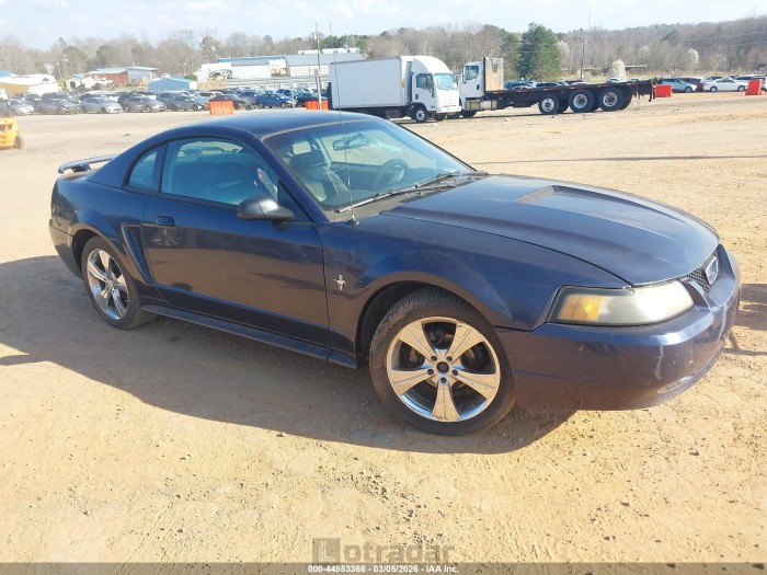 Ford Mustang 2003 VIN 1FAFP40483F315667