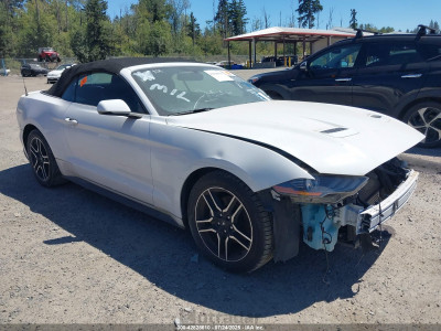 Ford Mustang 2020 1FATP8UH7L5118647