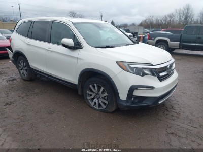 Honda Pilot 2019 VIN 5FNYF6H54KB076264