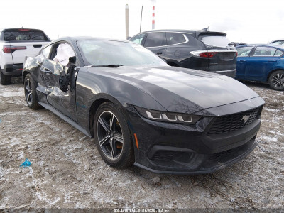 Ford Mustang 2024 1FA6P8TH7R5124410