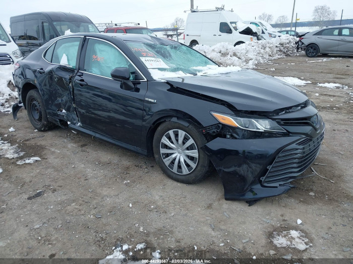 Toyota Camry 2020 VIN 4T1C31AK2LU019359