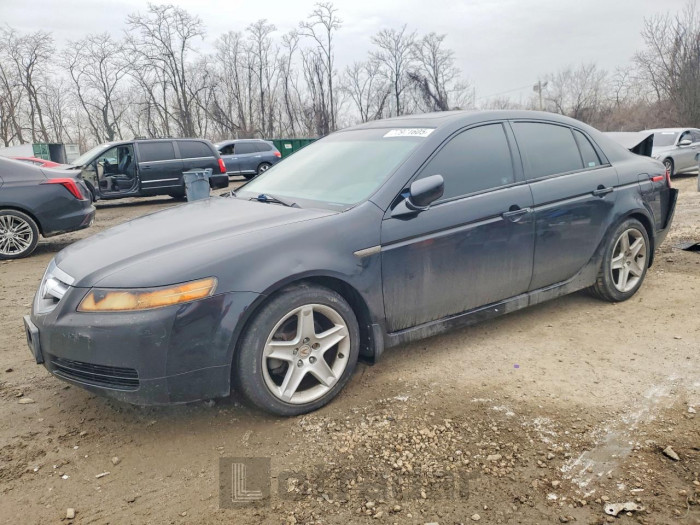 Acura Tl 2005 VIN 19UUA66255A017972