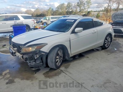 Honda Accord 2010 1HGCS1B81AA007441