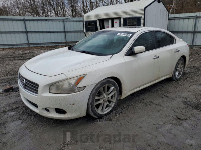Nissan Maxima 2009 1N4AA51E09C821111