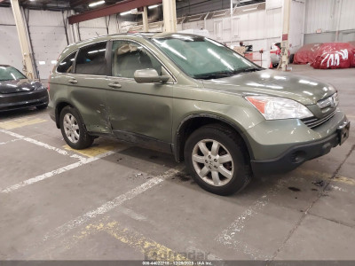 Honda Cr-v 2009 5J6RE48789L038342