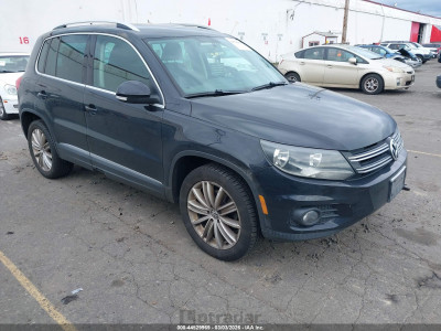 Volkswagen Tiguan 2013 WVGAV3AX7DW561989